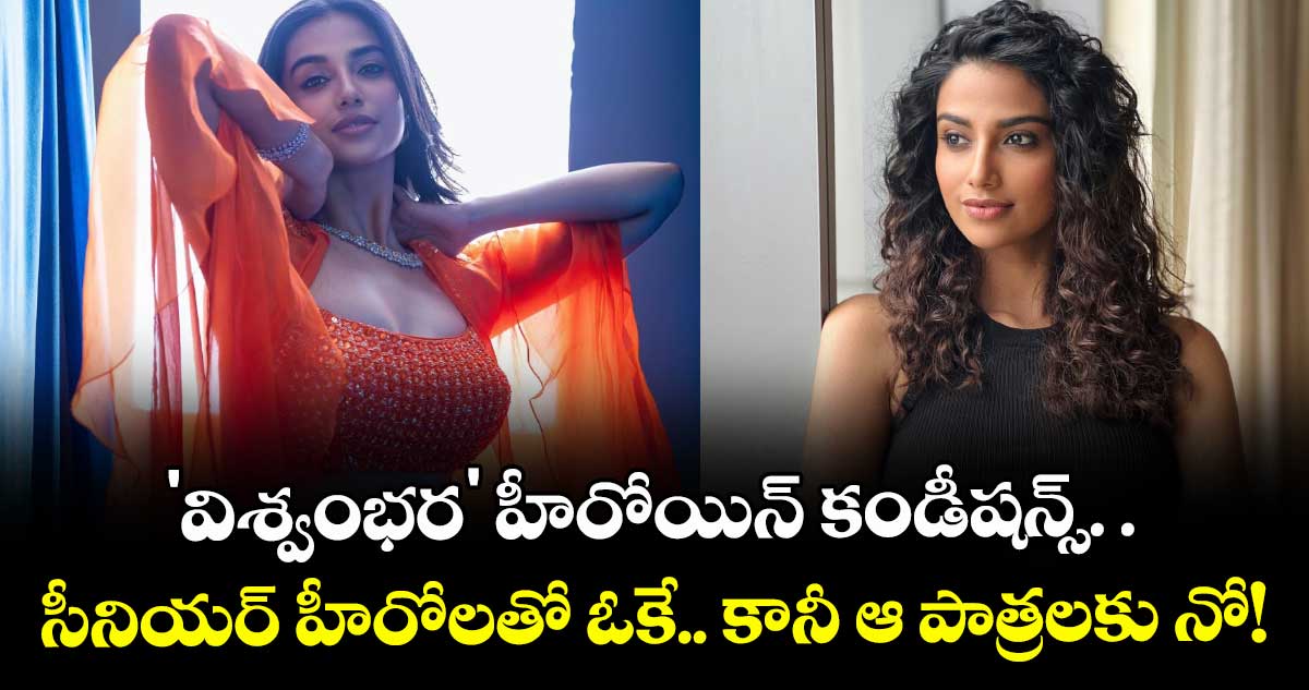 Meenakshi Chaudhary: 'విశ్వంభర' హీరోయిన్ కండీషన్స్. .  సీనియర్ హీరోలతో ఓకే.. కానీ ఆ పాత్రలకు నో!