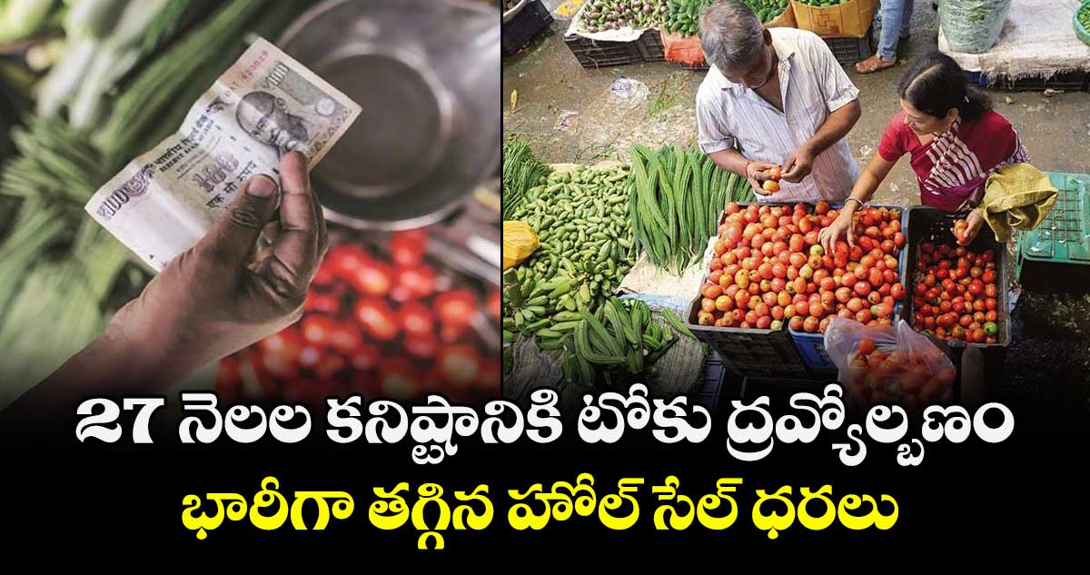 27 నెలల కనిష్టానికి టోకు ద్రవ్యోల్బణం..భారీగా తగ్గిన హోల్ సేల్ ధరలు 