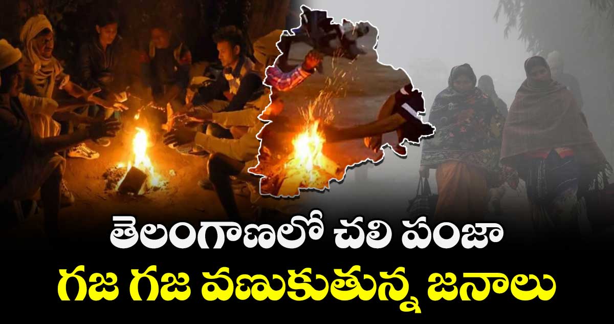 తెలంగాణలో చలి పంజా.. గజ గజ వణుకుతున్న జనాలు.. 