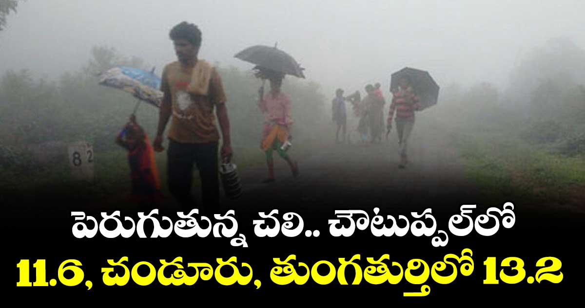 పెరుగుతున్న చలి.. చౌటుప్పల్లో 11.6, చండూరు, తుంగతుర్తిలో 13.2
