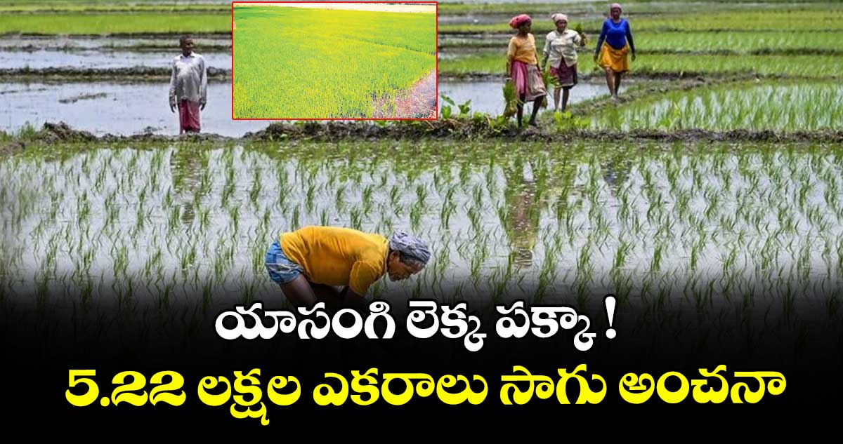 యాసంగి లెక్క పక్కా ! 5.22 లక్షల ఎకరాలు సాగు అంచనా