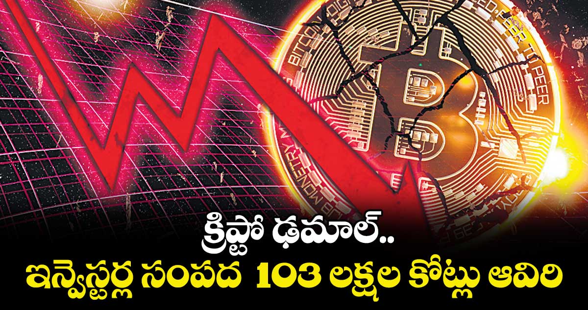 క్రిప్టో ఢమాల్..ఇన్వెస్టర్ల సంపద  103 లక్షల కోట్లు ఆవిరి