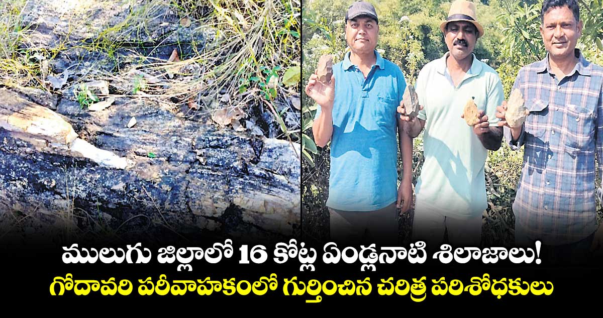 ములుగు జిల్లాలో 16 కోట్ల ఏండ్లనాటి శిలాజాలు!..గోదావరి పరీవాహకంలో గుర్తించిన చరిత్ర పరిశోధకులు