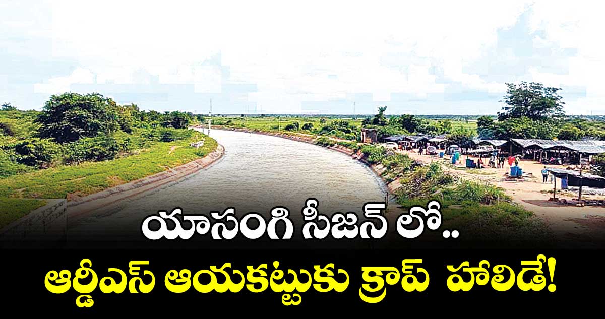 యాసంగి సీజన్ లో..ఆర్డీఎస్  ఆయకట్టుకు క్రాప్  హాలిడే!