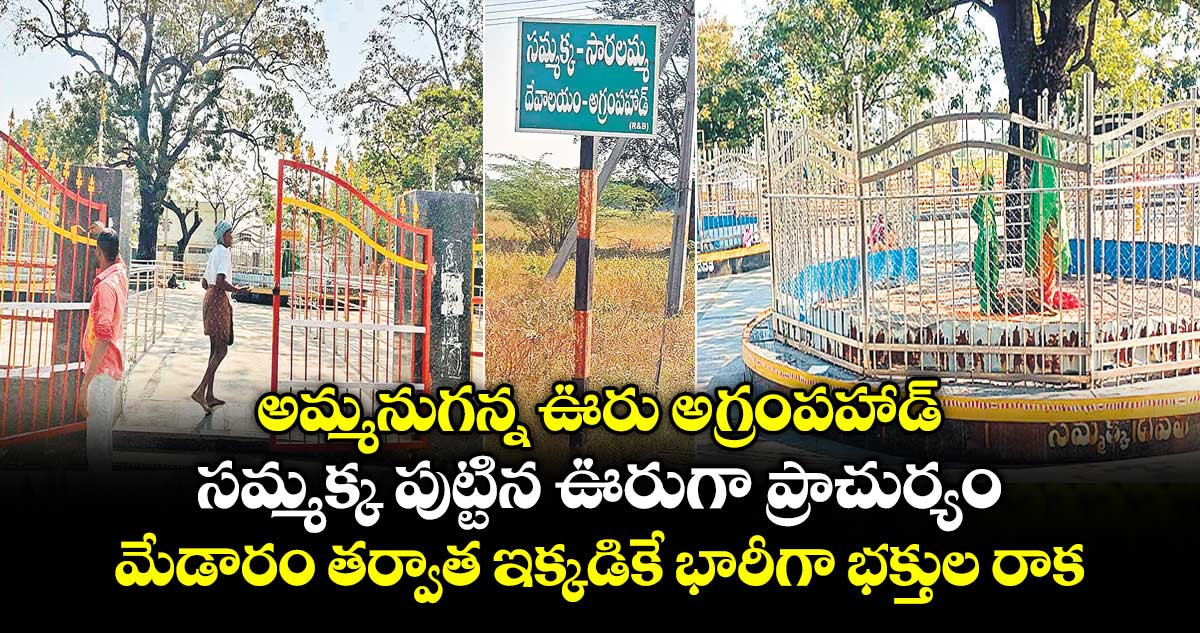 అమ్మనుగన్న ఊరు అగ్రంపహాడ్..సమ్మక్క పుట్టిన ఊరుగా ప్రాచుర్యం..మేడారం తర్వాత ఇక్కడికే భారీగా భక్తుల రాక