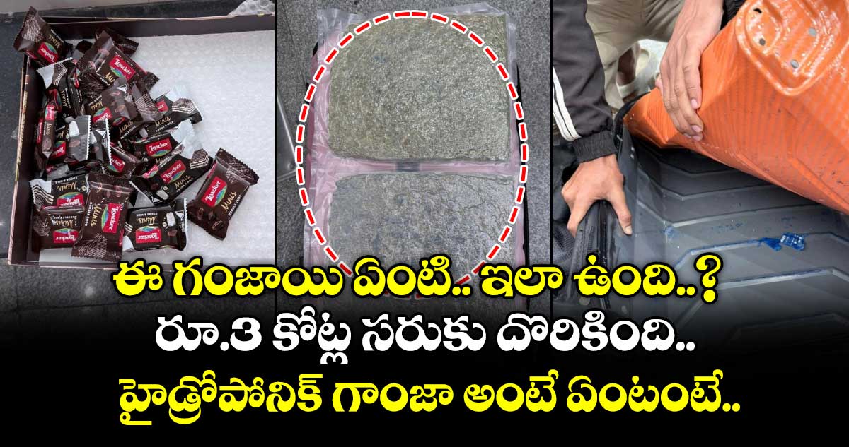 ఈ గంజాయి ఏంటి.. ఇలా ఉంది..? రూ.3 కోట్ల సరుకు దొరికింది.. హైడ్రోపోనిక్ గాంజా అంటే ఏంటంటే..