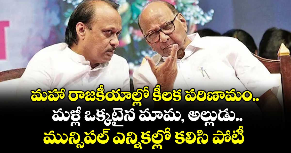 మహా రాజకీయాల్లో కీలక పరిణామం.. మళ్లీ ఒక్కటైన మామ, అల్లుడు.. మున్సిపల్ ఎన్నికల్లో కలిసి పోటీ