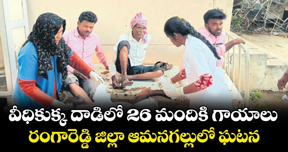 వీధికుక్క దాడిలో  26 మందికి గాయాలు..రంగారెడ్డి జిల్లా ఆమనగల్లులో ఘటన