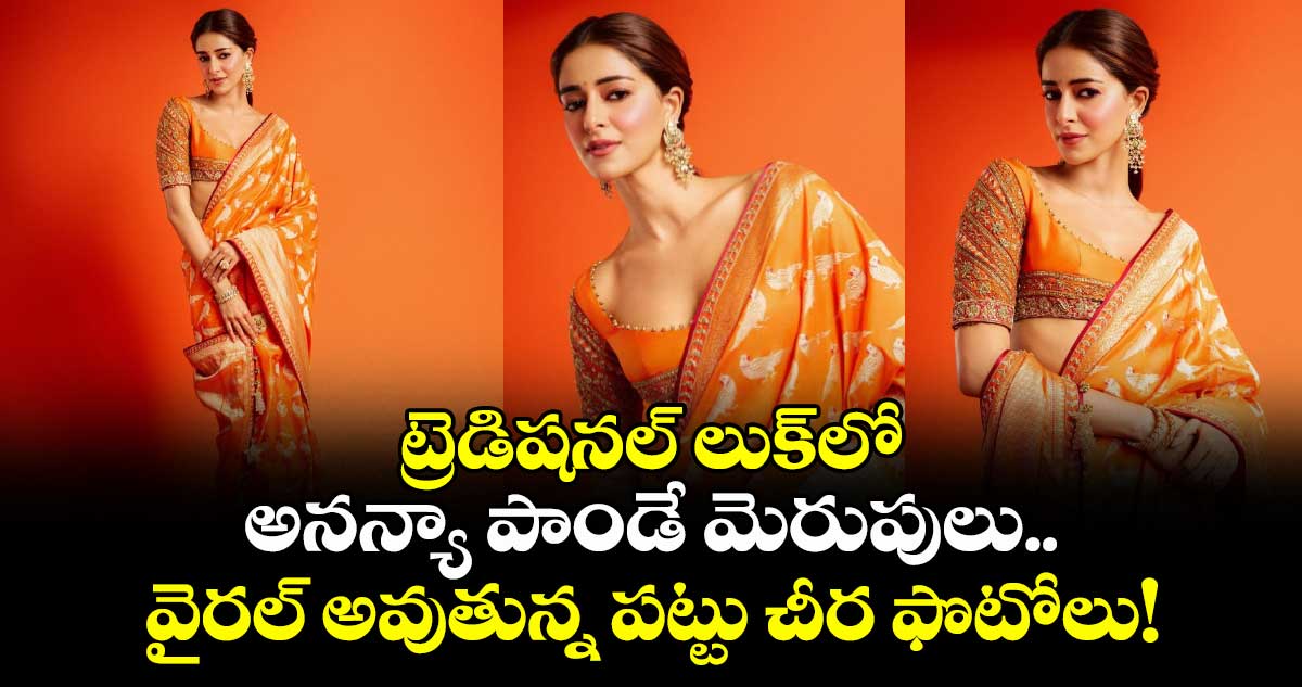 Ananya Panday: ట్రెడిషనల్ లుక్‌లో అనన్యా పాండే మెరుపులు.. వైరల్ అవుతున్న పట్టు చీర ఫొటోలు!