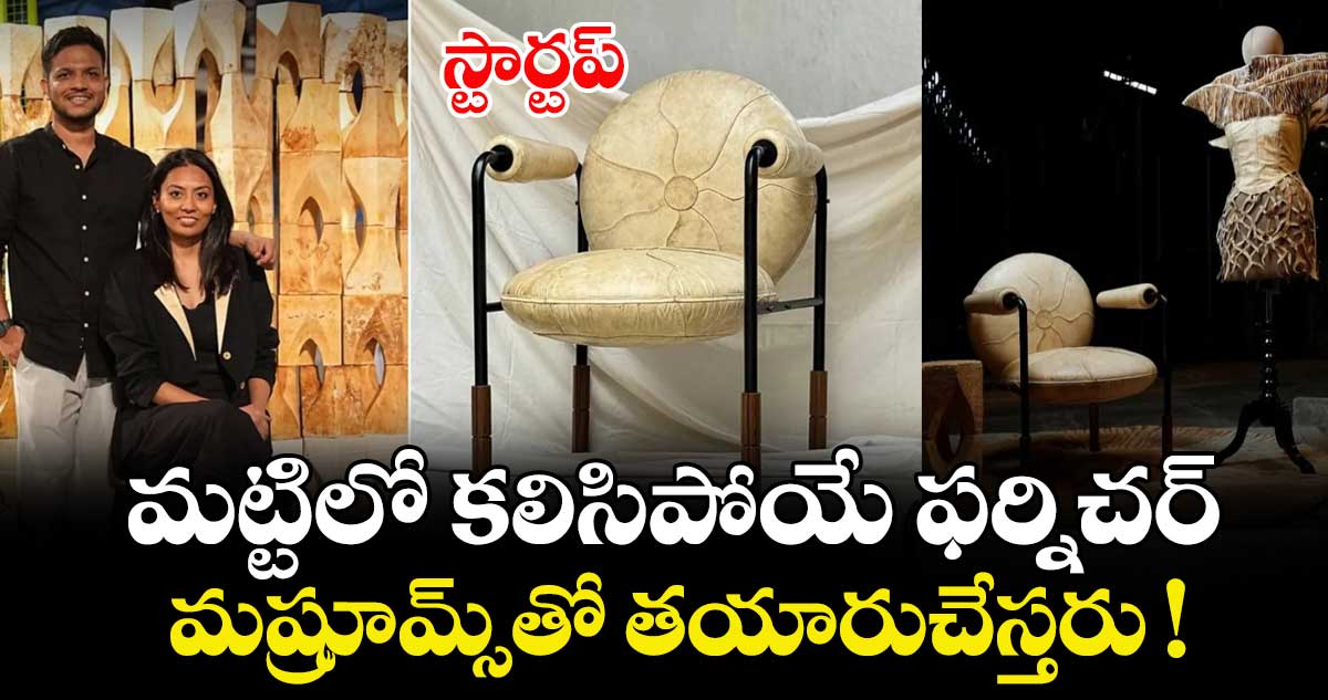 స్టార్టప్: మట్టిలో కలిసిపోయే ఫర్నిచర్‌‌‌‌‌‌‌‌‌‌‌‌‌‌‌‌‌‌‌‌‌‌‌‌‌‌‌‌‌‌‌‌..  మష్రూమ్స్‌‌‌‌‌‌‌‌‌‌‌‌‌‌‌‌తో తయారుచేస్తరు !