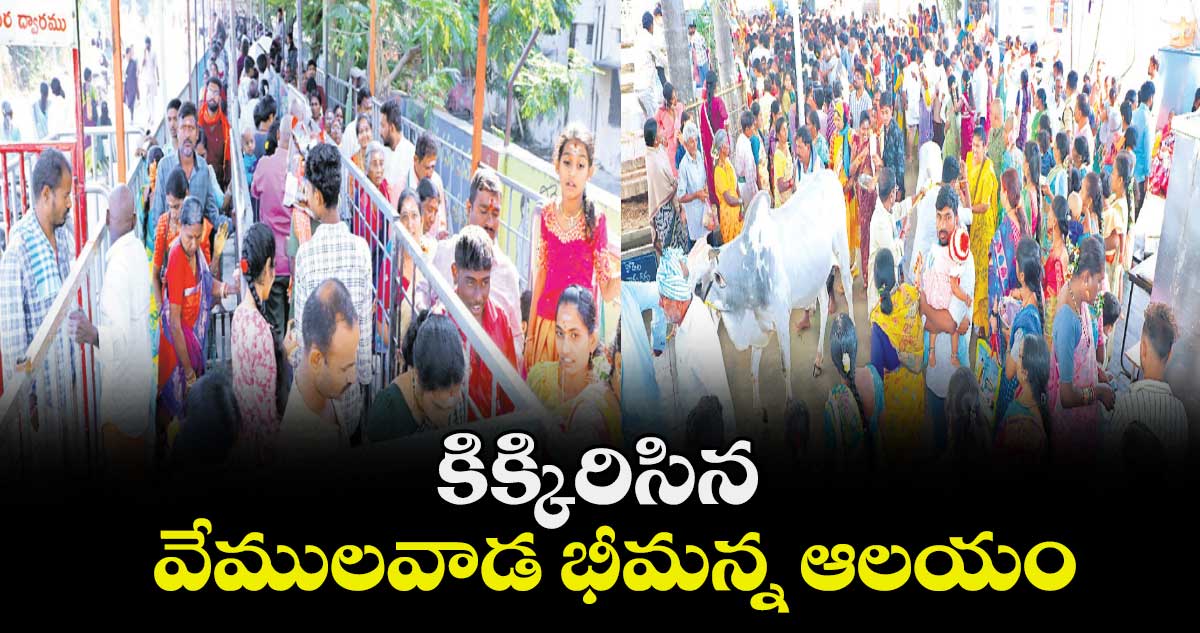 కిక్కిరిసిన వేములవాడ భీమన్న ఆలయం