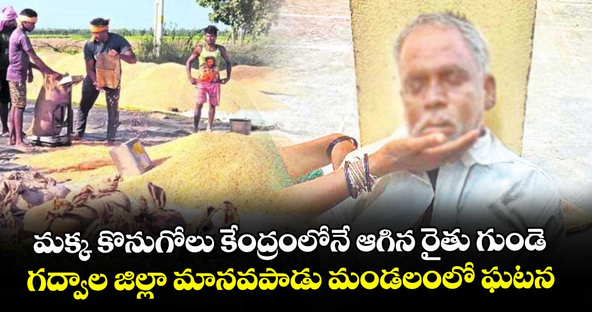 మక్క కొనుగోలు కేంద్రంలోనే ఆగిన రైతు గుండె..గద్వాల జిల్లా మానవపాడు మండలంలో ఘటన