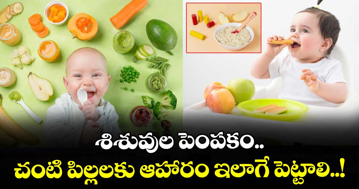  Parenting:  శిశువుల పెంపకం.. చంటి పిల్లలకు ఆహారం ఇలాగే పెట్టాలి..! 