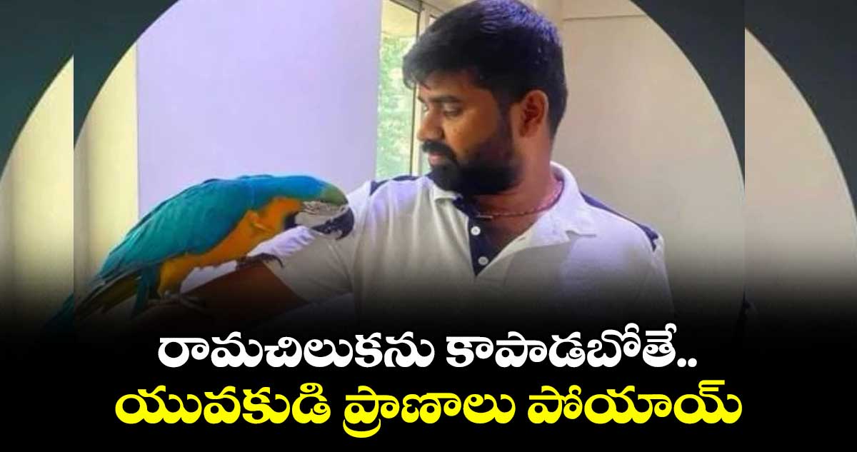 రామచిలుకను కాపాడబోతే.. యువకుడి ప్రాణాలు పోయాయ్