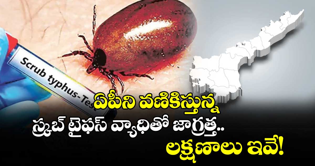 ఏపీని వణికిస్తున్న స్క్రబ్ టైఫస్ వ్యాధితో జాగ్రత్త.. లక్షణాలు ఇవే!