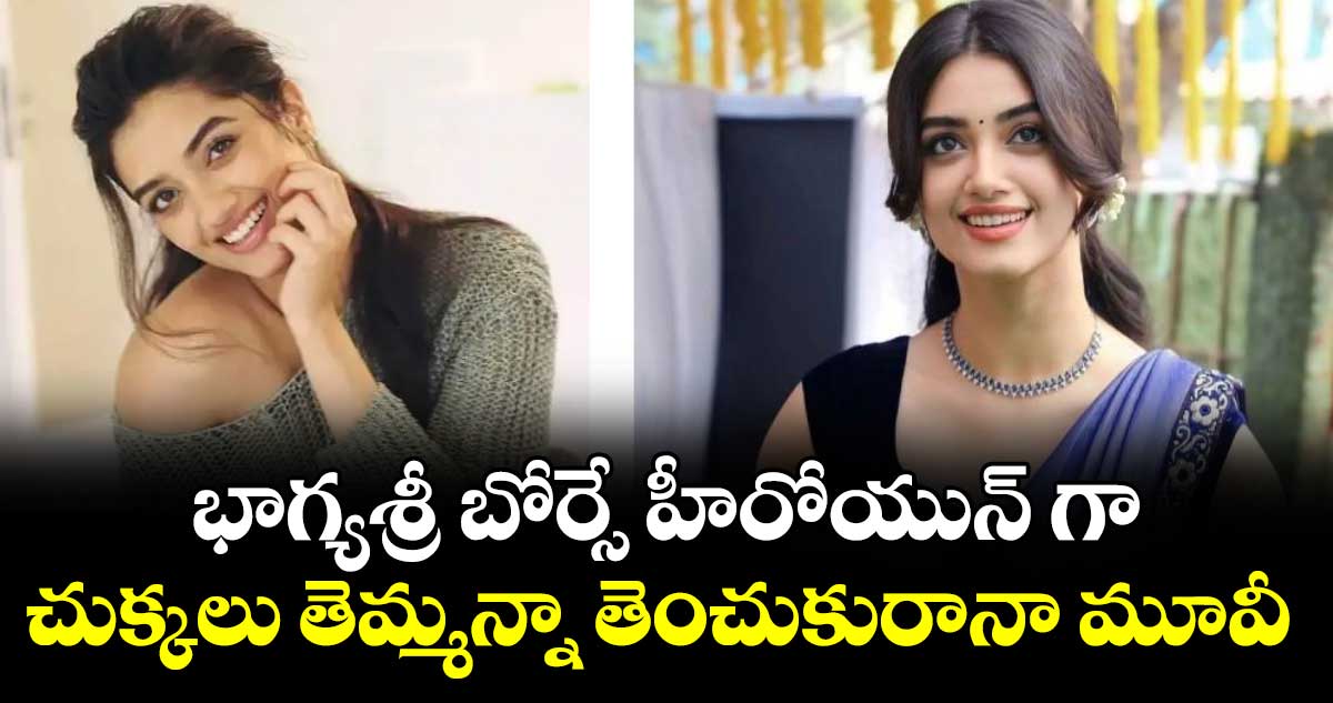 భాగ్యశ్రీ బోర్సే హీరోయున్ గా చుక్కలు తెమ్మన్నా తెంచుకురానా మూవీ