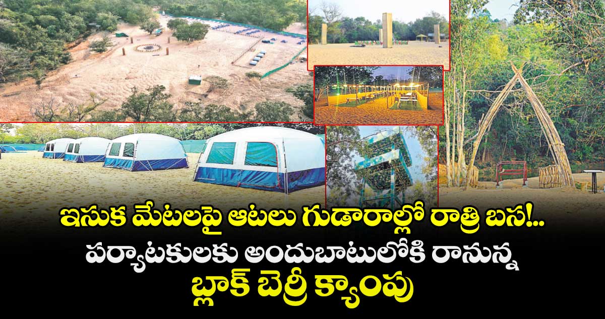 ఇసుక మేటలపై ఆటలు గుడారాల్లో రాత్రి బస!..పర్యాటకులకు అందుబాటులోకి రానున్న  బ్లాక్ బెర్రీ క్యాంపు