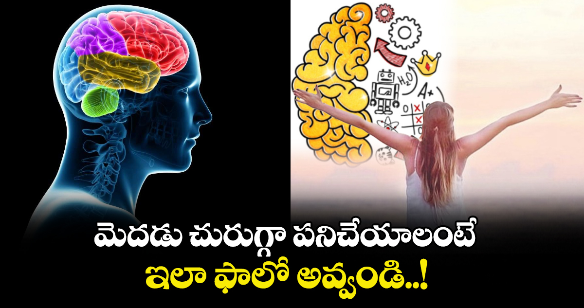 Knowledge improve : మెదడు చురుగ్గా పనిచేయాలంటే.. ఇలా ఫాలో అవ్వండి..!