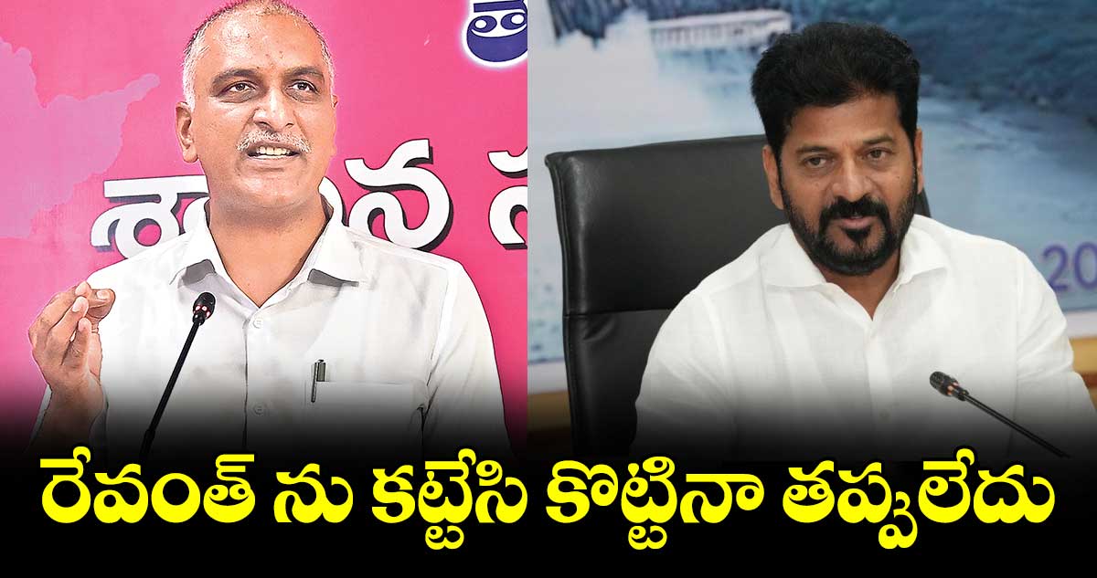 రేవంత్ ను కట్టేసి కొట్టినా తప్పులేదు: హరీశ్ రావు