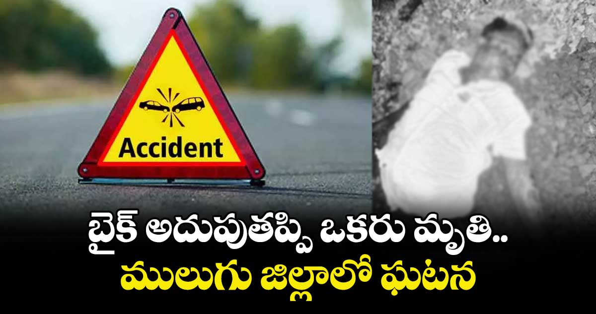 బైక్ అదుపుతప్పి ఒకరు మృతి..ములుగు జిల్లాలో ఘటన
