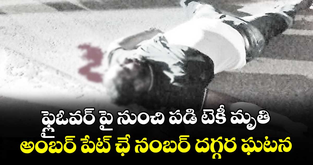 ఫ్లైఓవర్ పై నుంచి పడి టెకీ మృతి ..అంబర్ పేట్ ఛే నంబర్ దగ్గర ఘటన