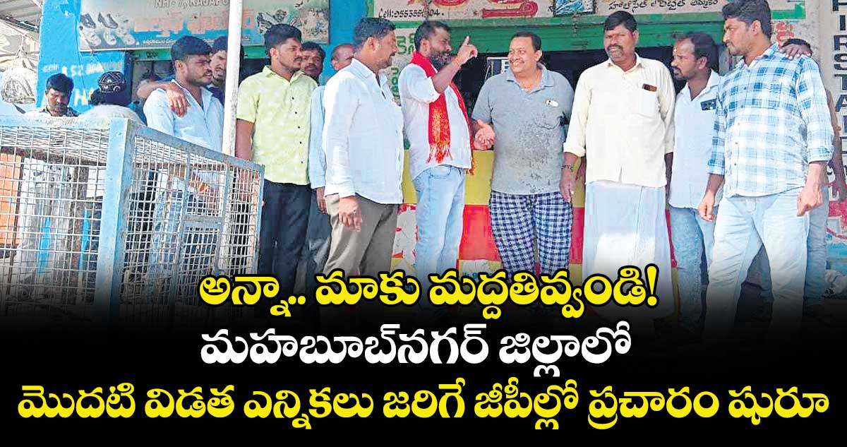 అన్నా.. మాకు మద్దతివ్వండి!.. మహబూబ్నగర్ జిల్లాలో మొదటి విడత ఎన్నికలు జరిగే జీపీల్లో ప్రచారం షురూ