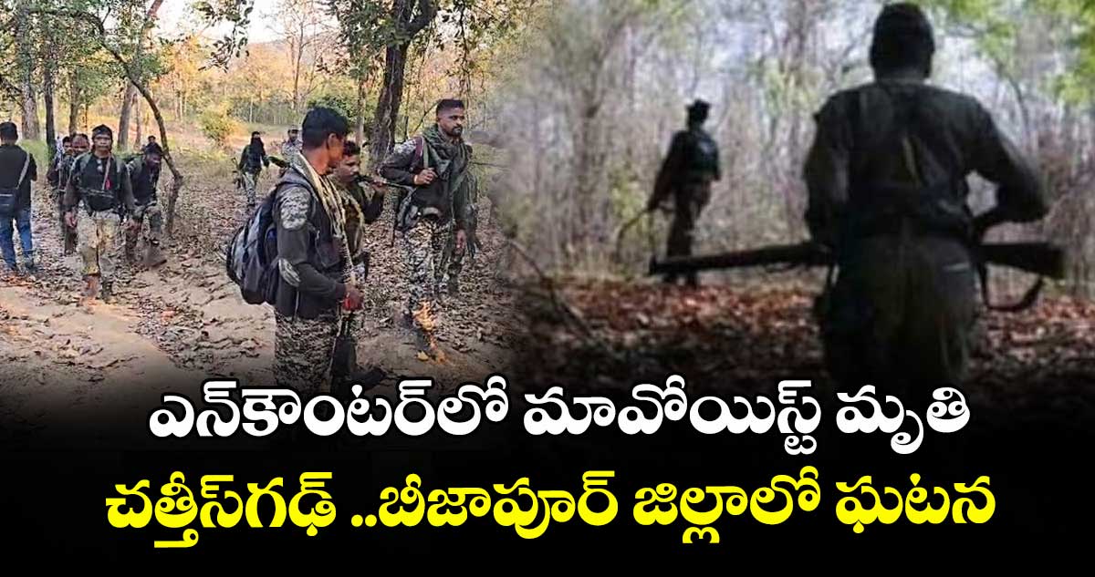 ఎన్‌‌ కౌంటర్‌‌ లో మావోయిస్ట్‌‌ మృతి..చత్తీస్‌‌ గఢ్‌‌ ..బీజాపూర్‌‌ జిల్లాలో ఘటన