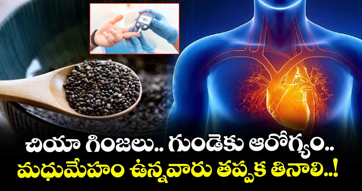 Good Health :  చియా గింజలు.. గుండెకు ఆరోగ్యం.. మధుమేహం ఉన్నవారు తప్పక తినాలి..! 