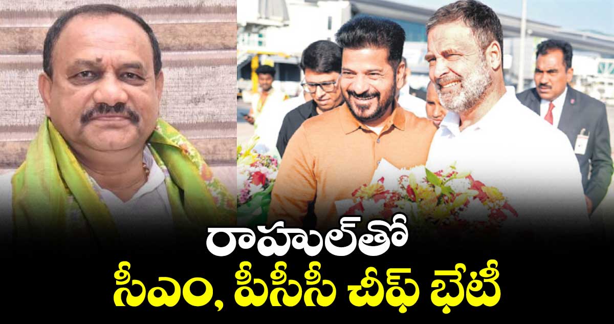 రాహుల్తో సీఎం, పీసీసీ చీఫ్ భేటీ