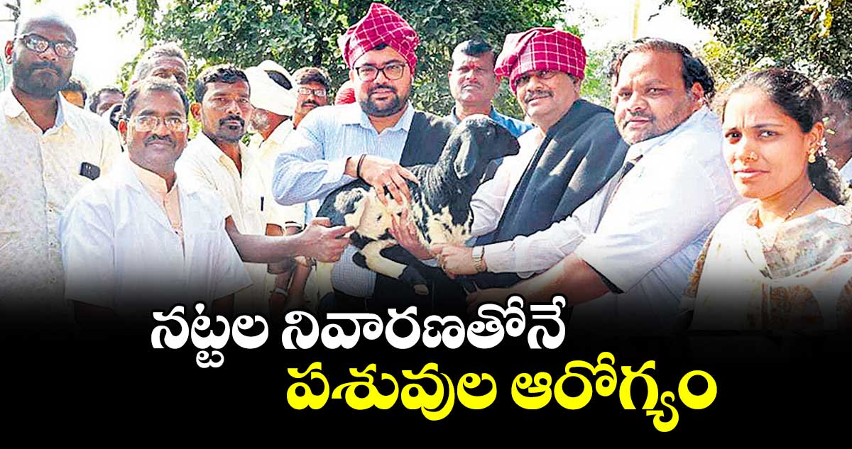 నట్టల నివారణతోనే పశువుల ఆరోగ్యం : కలెక్టర్ బాదావత్ సంతోష్