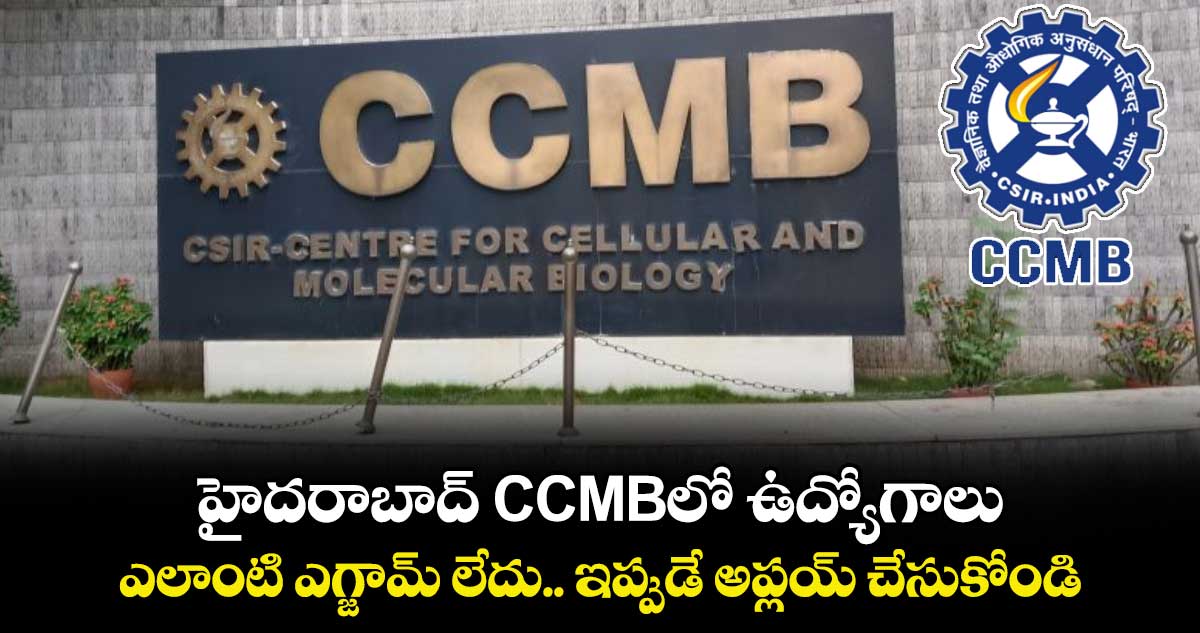 హైదరాబాద్ CCMBలో ఉద్యోగాలు.. ఎలాంటి ఎగ్జామ్ లేదు.. ఇప్పుడే అప్లయ్ చేసుకోండి.. 
