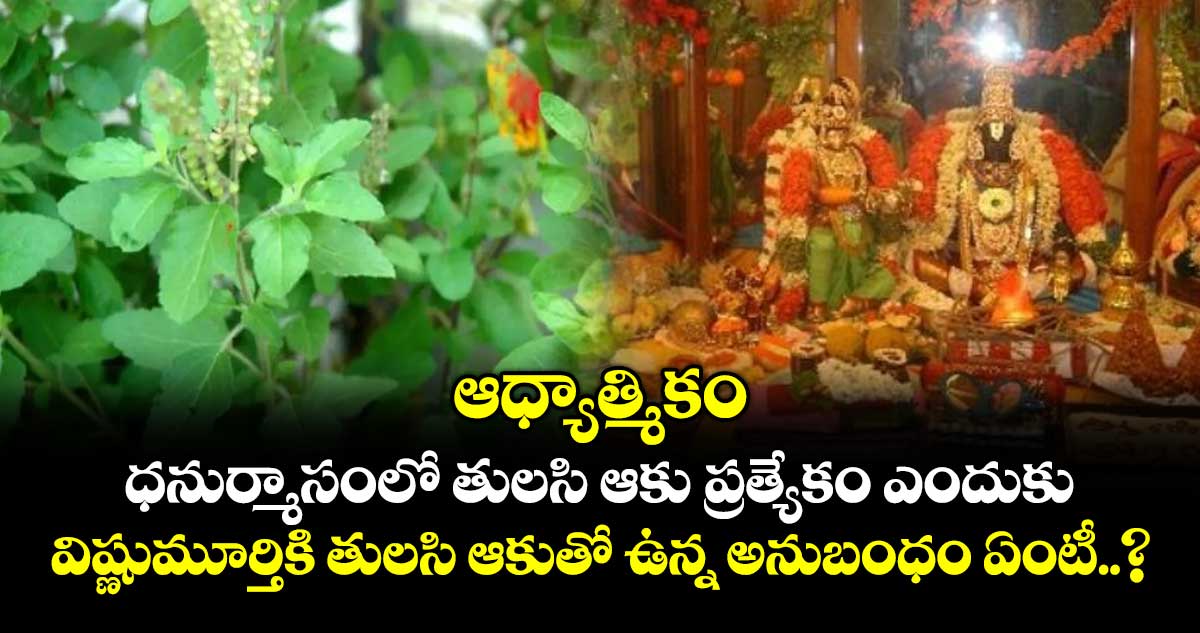ఆధ్యాత్మికం : ధనుర్మాసంలో తులసి ఆకు ప్రత్యేకం ఎందుకు.. విష్ణుమూర్తికి తులసి ఆకుతో ఉన్న అనుబంధం ఏంటీ..?