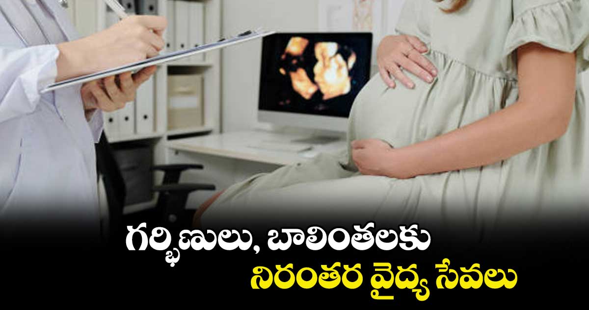 గర్భిణులు, బాలింతలకు నిరంతర వైద్య సేవలు
