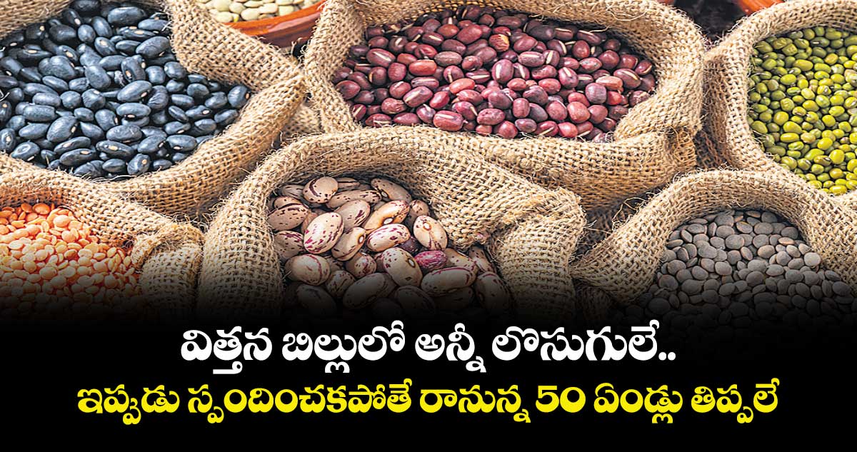 విత్తన బిల్లులో అన్నీ లొసుగులే.. ఇప్పుడు స్పందించకపోతే రానున్న 50 ఏండ్లు తిప్పలే