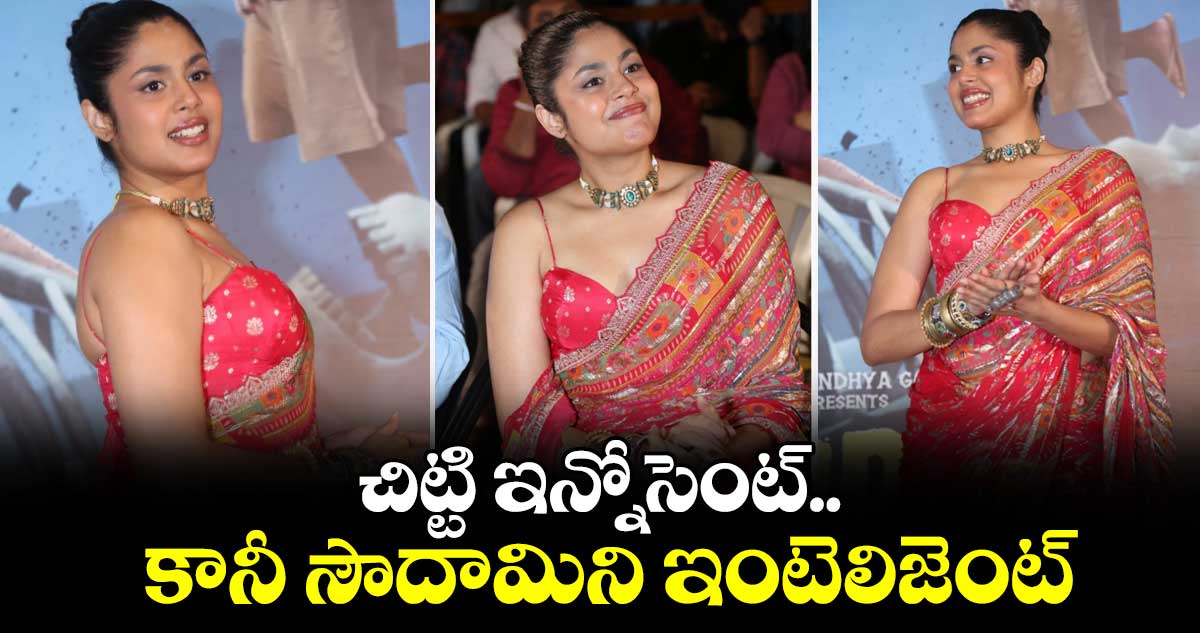 చిట్టి ఇన్నోసెంట్‌‌‌‌.. కానీ  సౌదామిని ఇంటెలిజెంట్