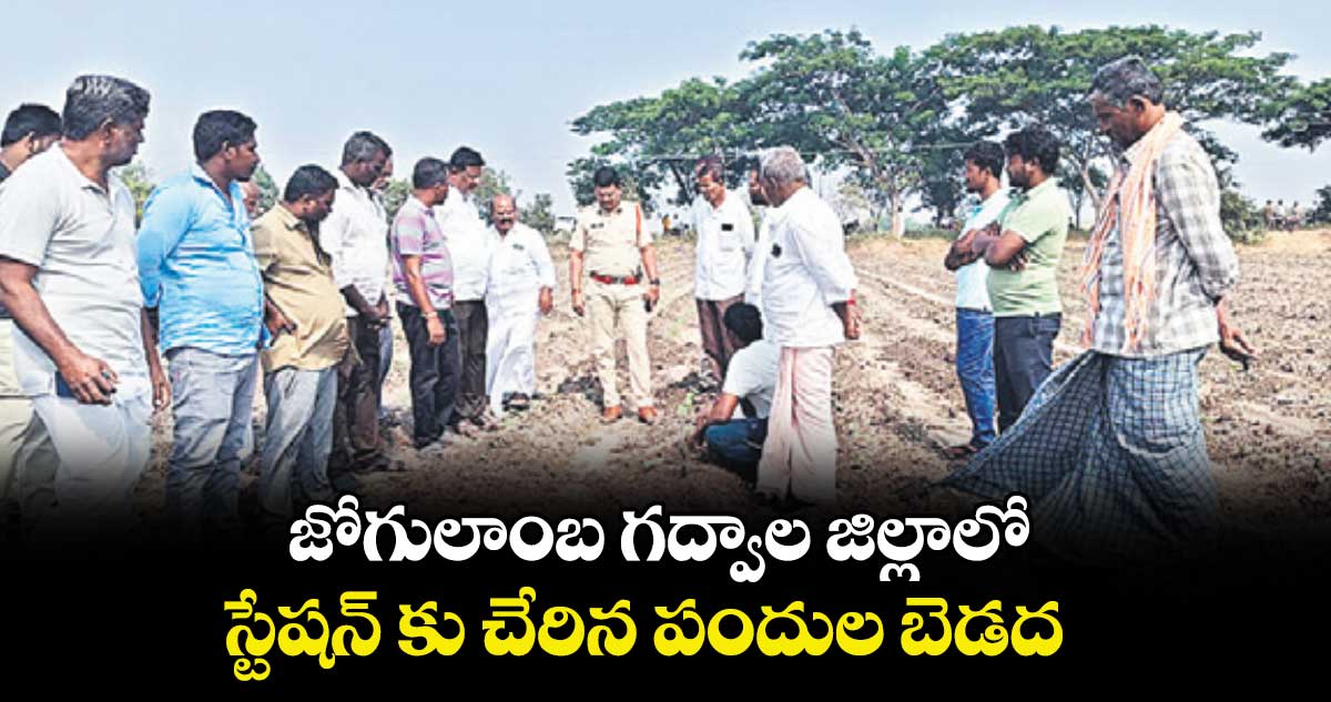  జోగులాంబ గద్వాల జిల్లాలో స్టేషన్ కు చేరిన పందుల బెడద