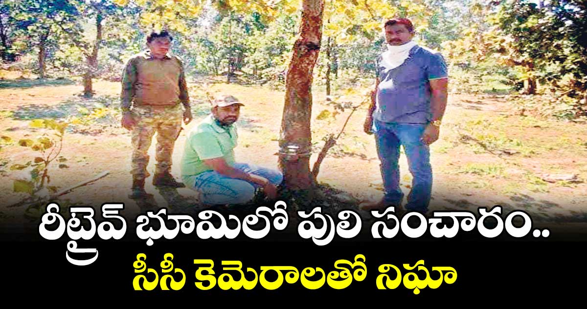 రీట్రైవ్ భూమిలో పులి సంచారం..సీసీ కెమెరాలతో నిఘా