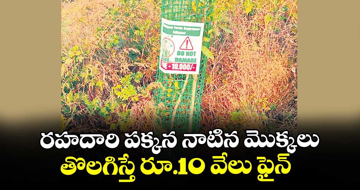 రహదారి పక్కన నాటిన మొక్కలు తొలగిస్తే రూ.10 వేలు ఫైన్  : అటవీ శాఖ ఆఫీసర్లు