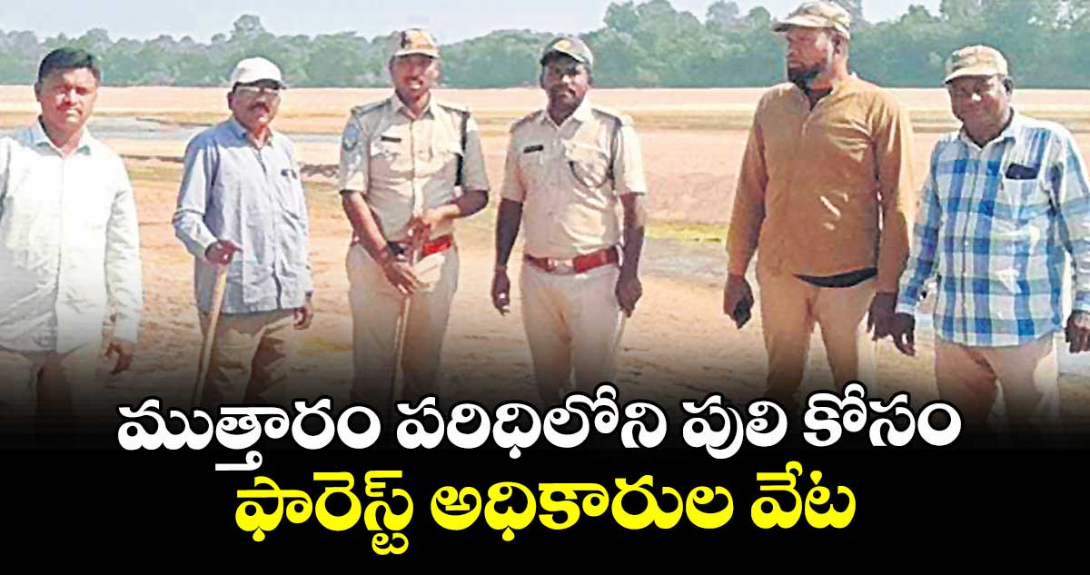 ముత్తారం పరిధిలోని  పులి కోసం ఫారెస్ట్ అధికారుల వేట