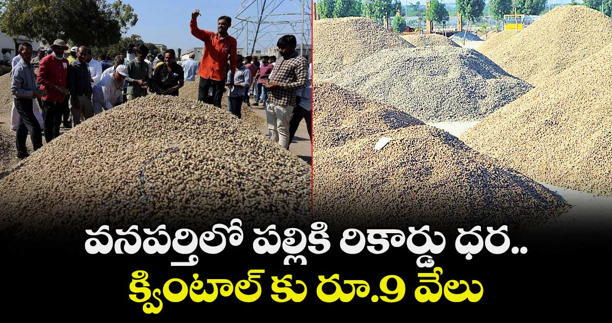 వనపర్తిలో పల్లికి రికార్డు ధర..క్వింటాల్ కు  రూ.9 వేలు