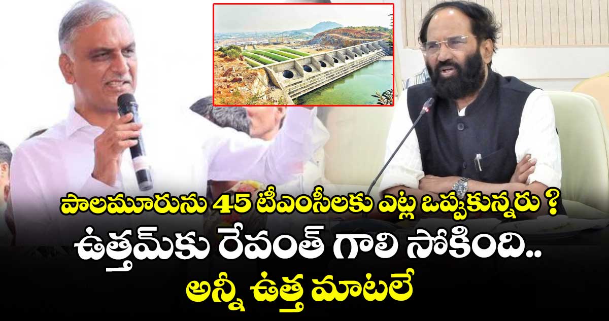 పాలమూరును 45 టీఎంసీలకు ఎట్ల ఒప్పుకున్నరు ? ఉత్తమ్‌కు రేవంత్‌ గాలి సోకింది.. అన్నీ ఉత్త మాటలే: హరీశ్రావు