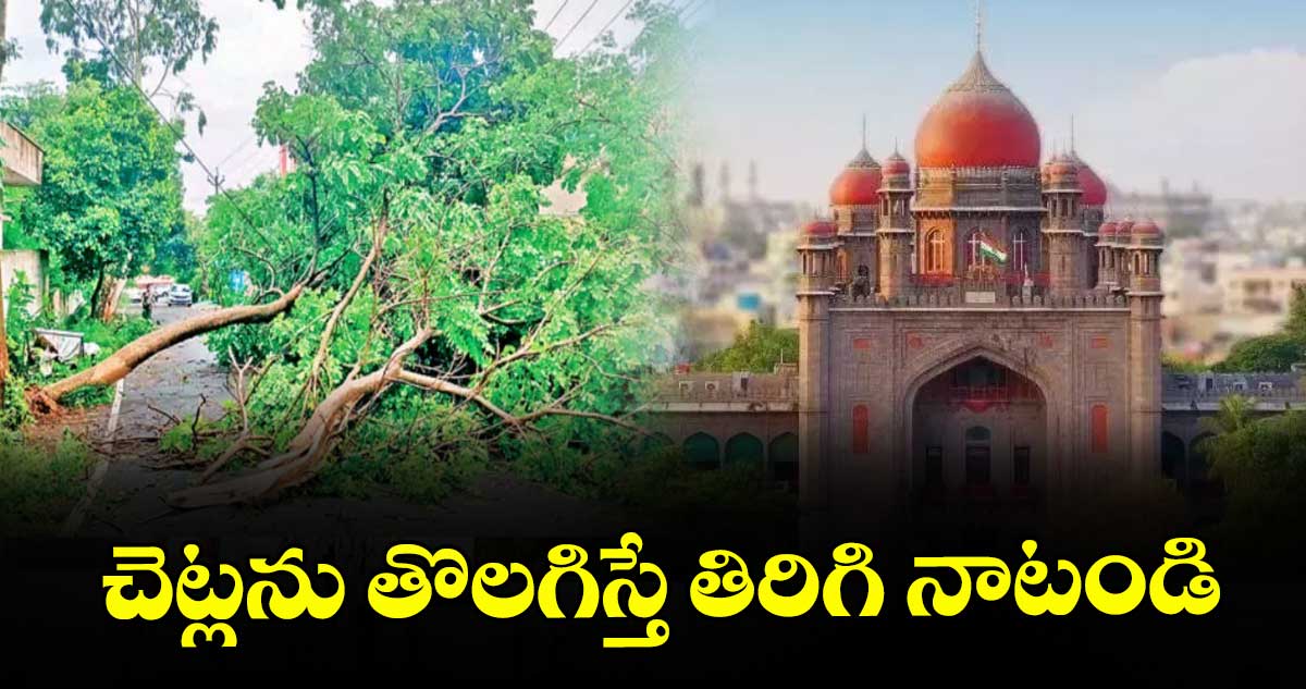 చెట్లను తొలగిస్తే తిరిగి నాటండి :  హైకోర్టు