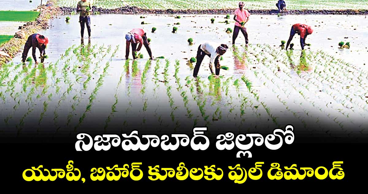 నిజామాబాద్ జిల్లాలో యూపీ, బిహార్ కూలీలకు ఫుల్ డిమాండ్