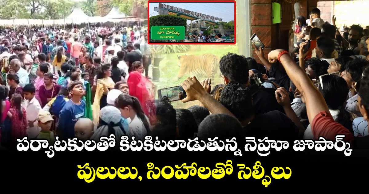 పర్యాటకులతో కిటకిటలాడుతున్న నెహ్రూ జూపార్క్.. పులులు, సింహాలతో సెల్ఫీలు