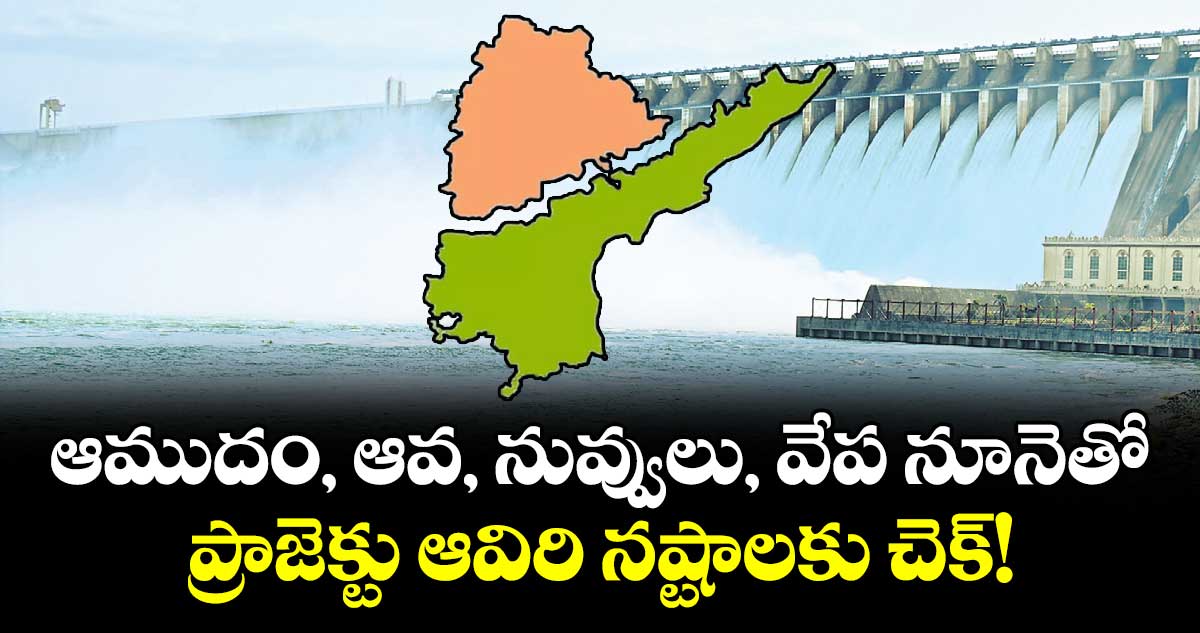 ఆముదం, ఆవ, నువ్వులు, వేప నూనెతో.. ప్రాజెక్టు ఆవిరి నష్టాలకు చెక్!