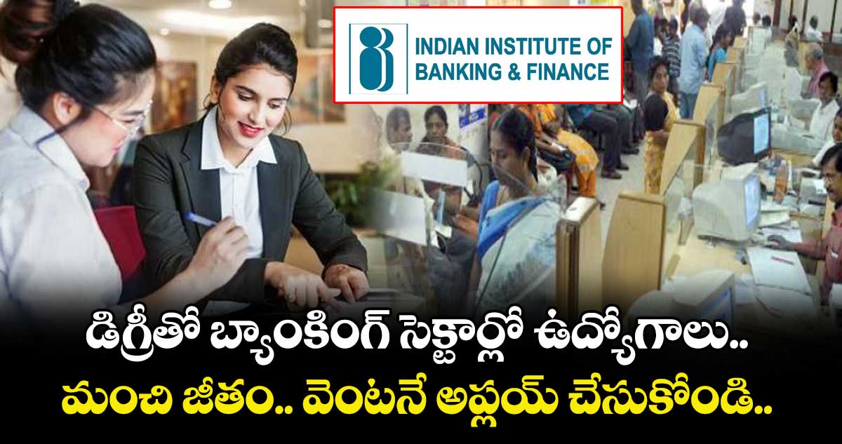 Jobs: డిగ్రీతో బ్యాంకింగ్ సెక్టార్లో  ఉద్యోగాలు.. మంచి జీతం.. వెంటనే అప్లయ్ చేసుకోండి.. 