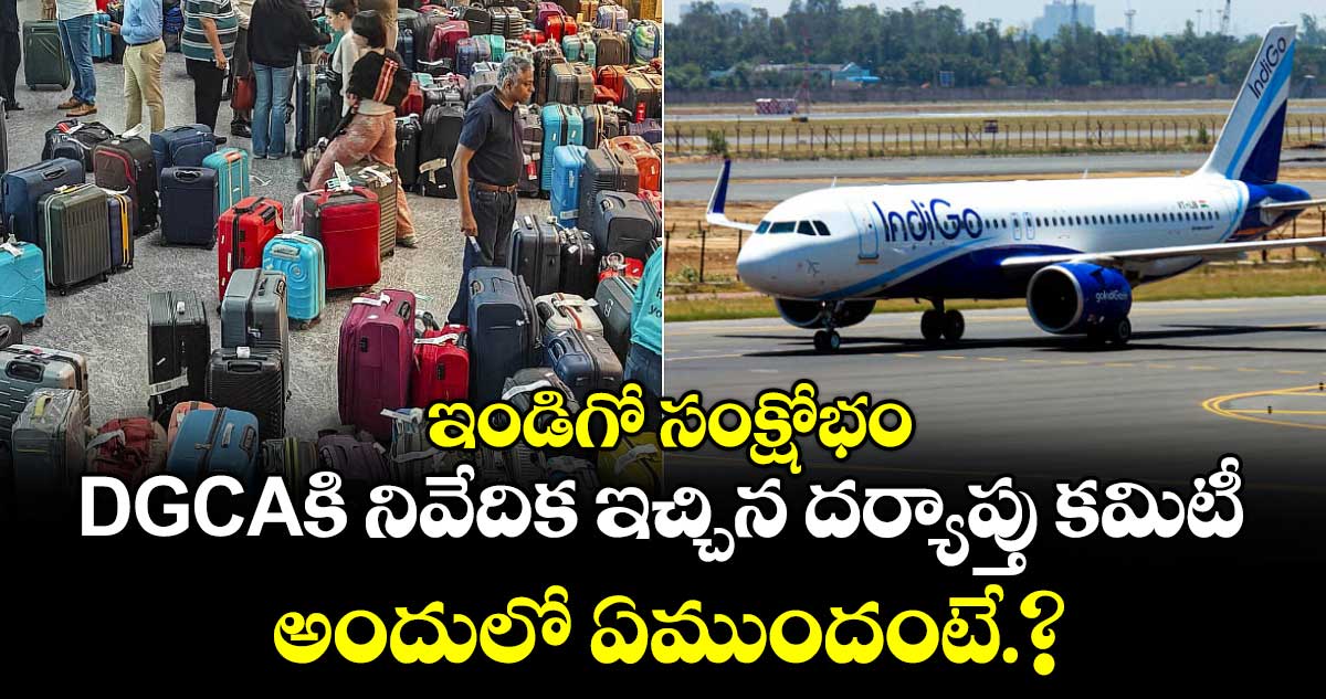 ఇండిగో సంక్షోభం:  DGCAకి నివేదిక ఇచ్చిన  దర్యాప్తు కమిటీ..అందులో ఏముందంటే.?