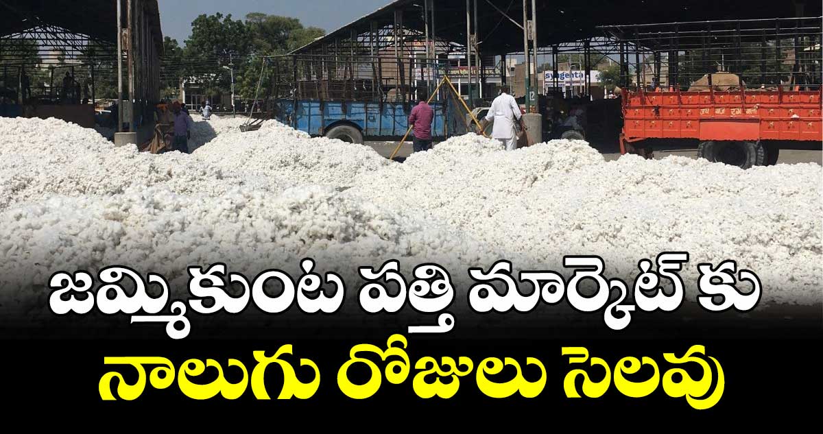 జమ్మికుంట పత్తి మార్కెట్‌‌‌‌‌‌‌‌ కు నాలుగు రోజులు సెలవు