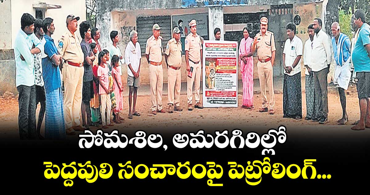 సోమశిల, అమరగిరిల్లో పెద్దపులి సంచారంపై పెట్రోలింగ్...