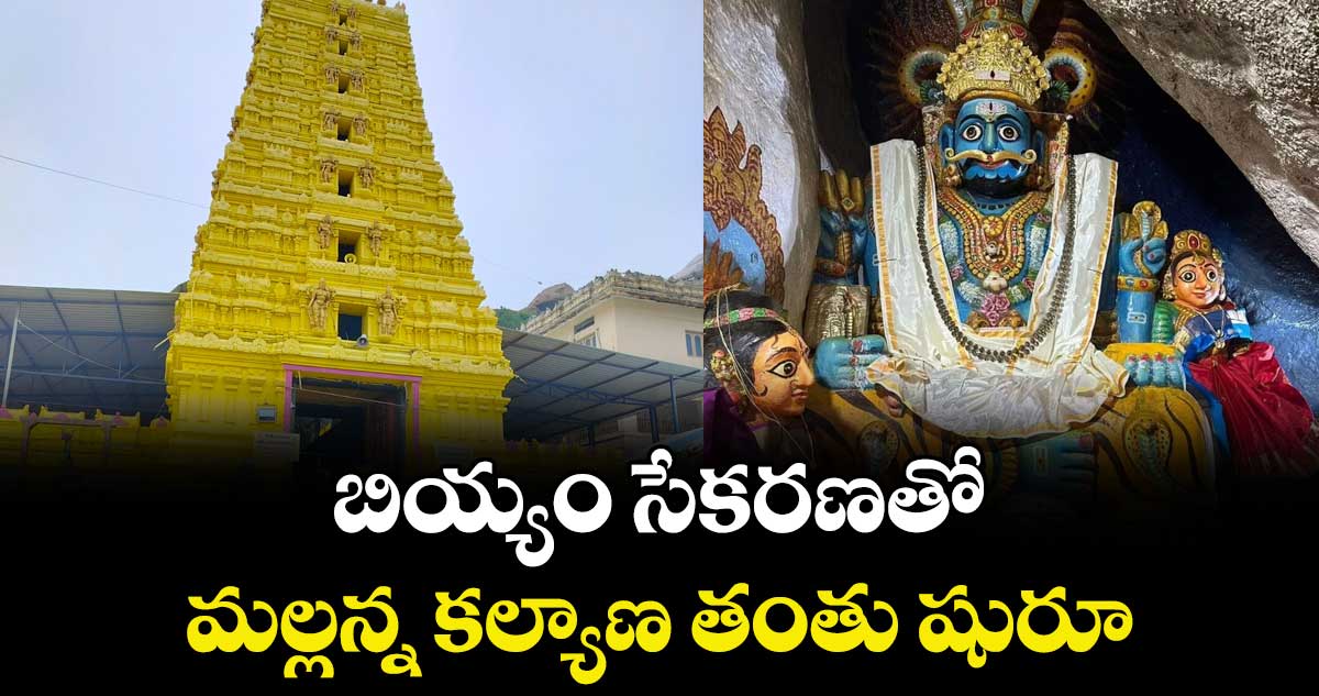 బియ్యం సేకరణతో మల్లన్న కల్యాణ తంతు షురూ